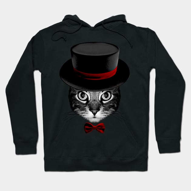 illusionist Cat V2 Hoodie by clingcling